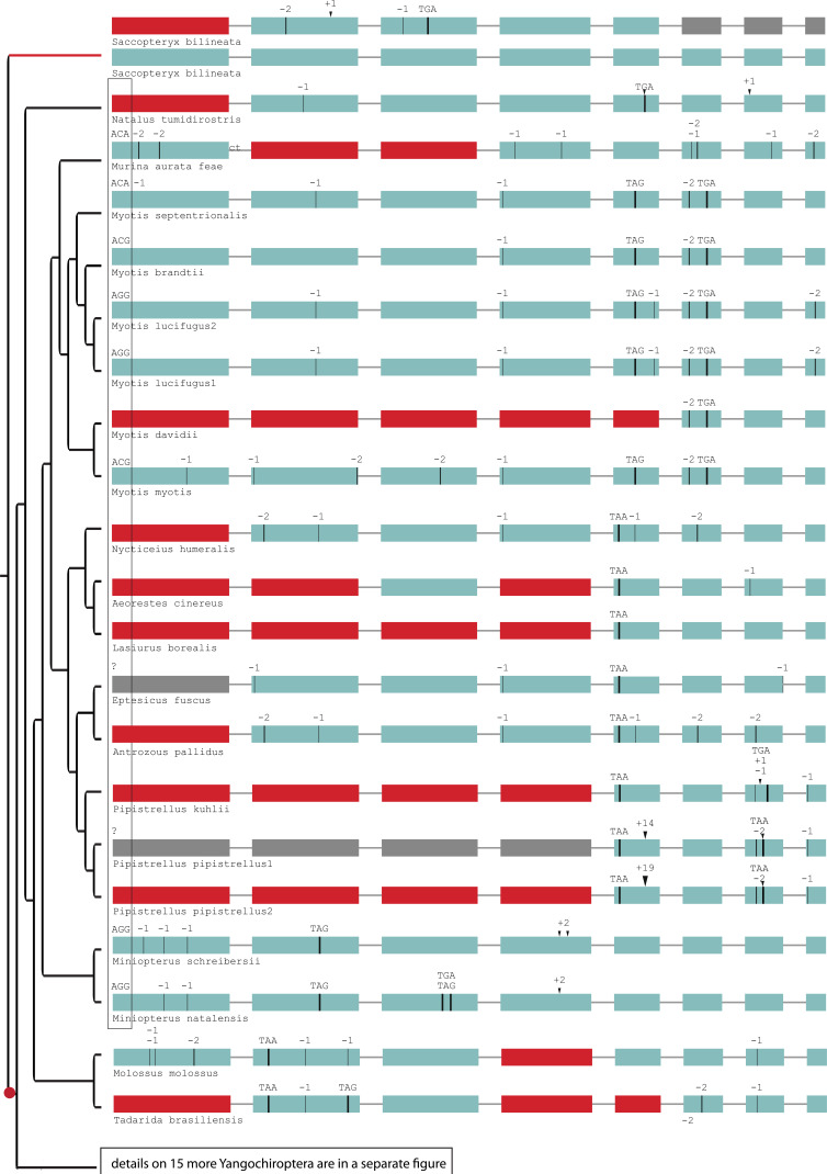 Figure 2—figure supplement 5.