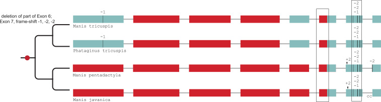 Figure 2—figure supplement 3.