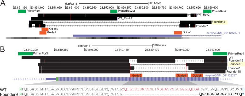 Figure 4—figure supplement 1.