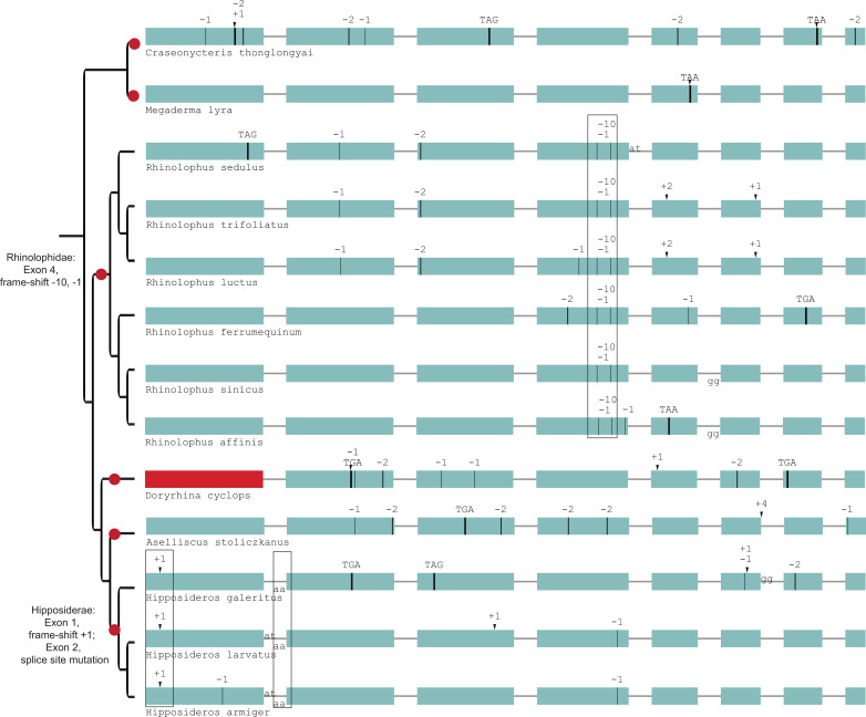 Figure 2—figure supplement 7.