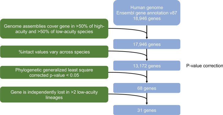 Figure 1—figure supplement 1.