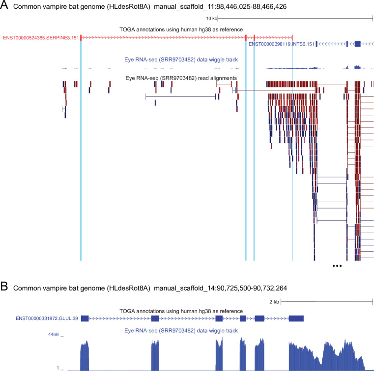 Figure 2—figure supplement 1.