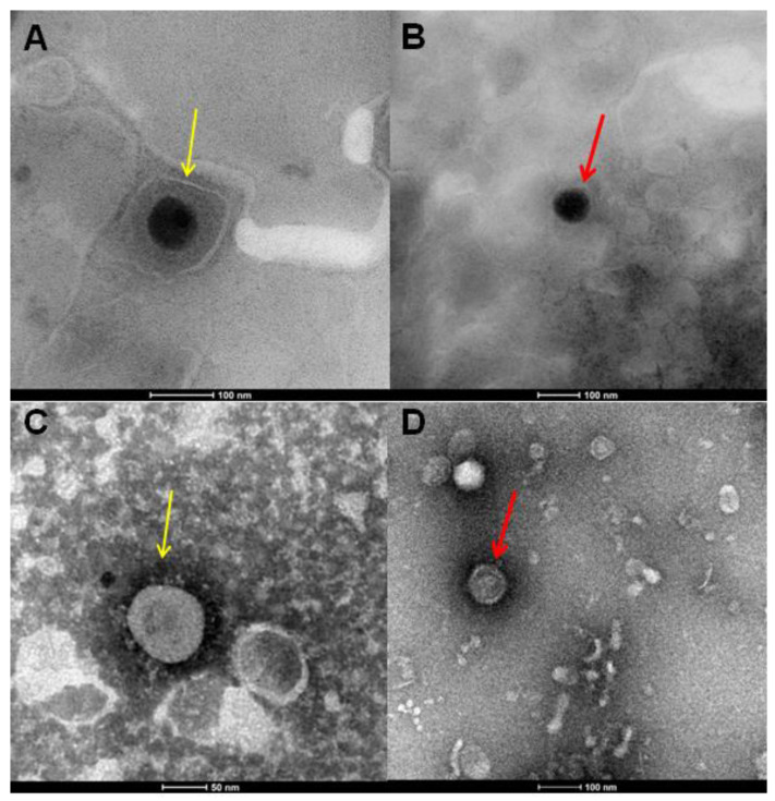 Figure 10