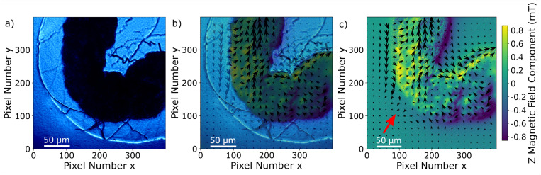 Fig. 7