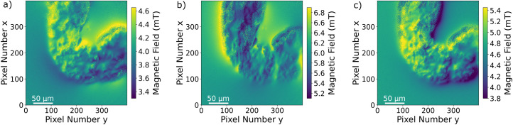 Fig. 6