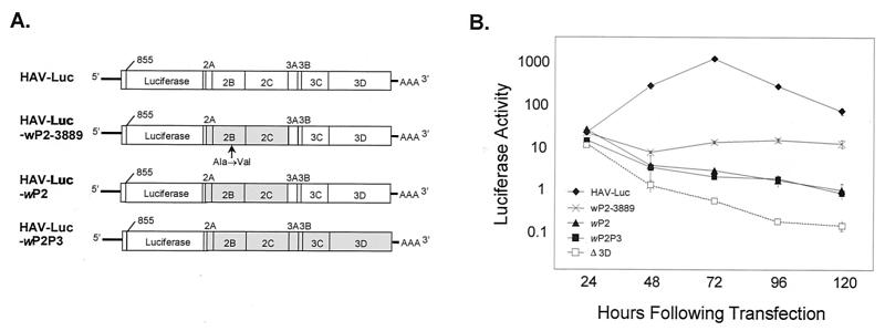 FIG. 7.