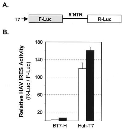 FIG. 5.