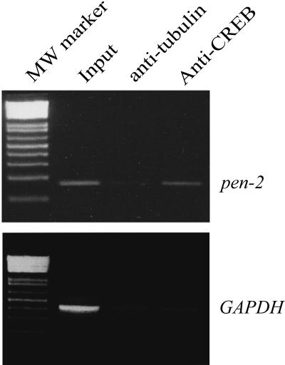 FIG. 5.