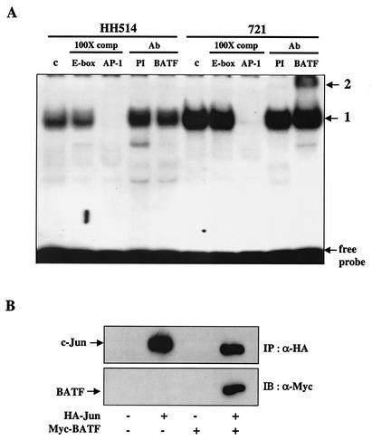 FIG. 7.