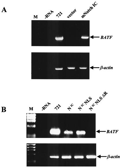 FIG. 5.