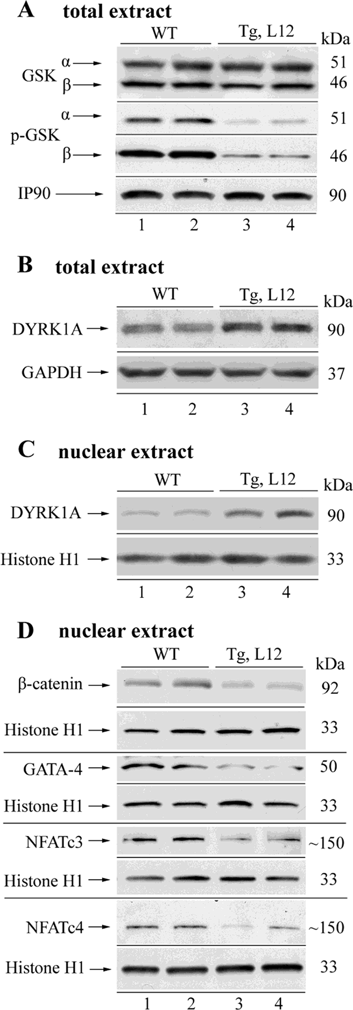 FIGURE 7.