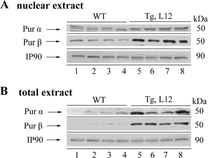 FIGURE 10.