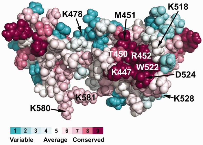 Figure 5.