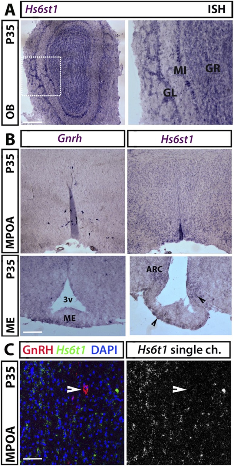 Figure 3.