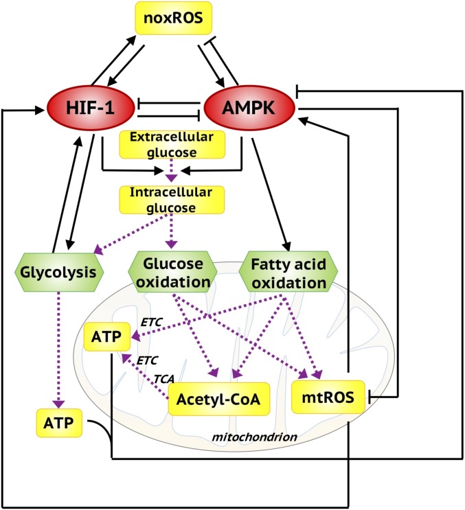 Fig. 2.