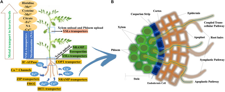 FIGURE 2