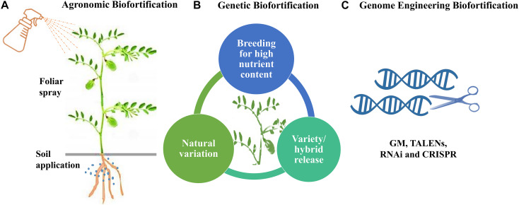 FIGURE 3