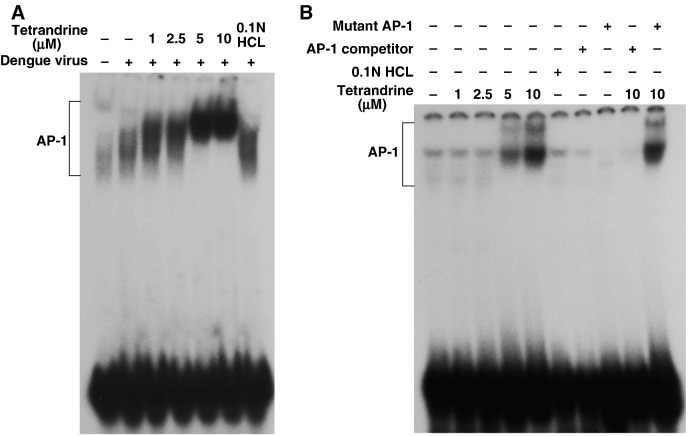 Fig. 9