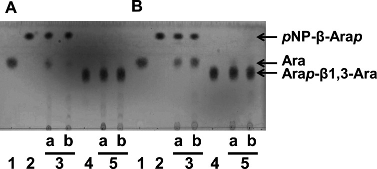 Fig. 8.