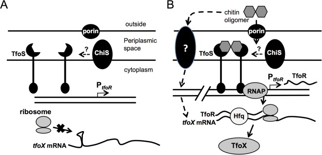 FIG 4 