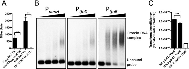 FIG 2 