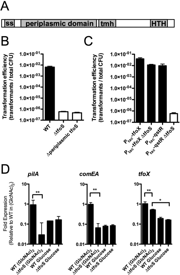 FIG 1 