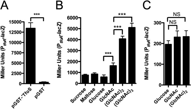 FIG 3 