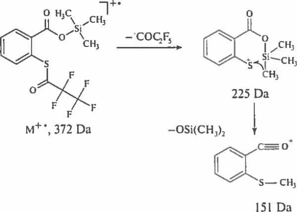 Scheme 6