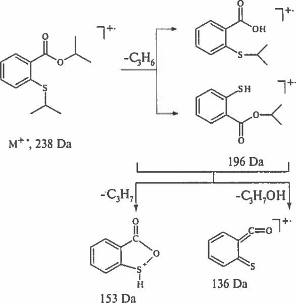 Scheme 5