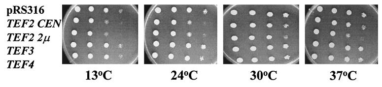 FIG. 5