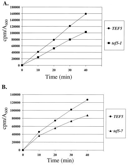 FIG. 7