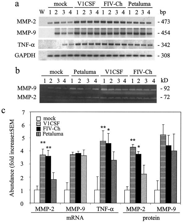 FIG. 6.