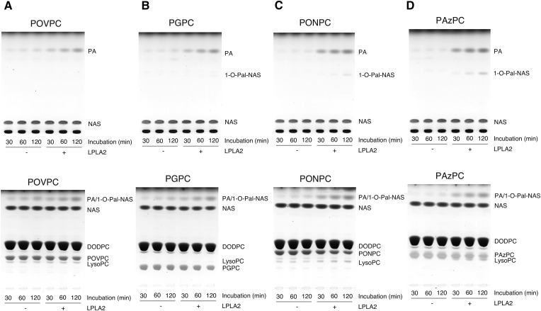 Fig. 3.