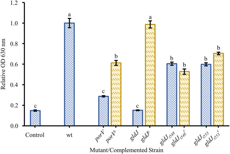 Figure 5