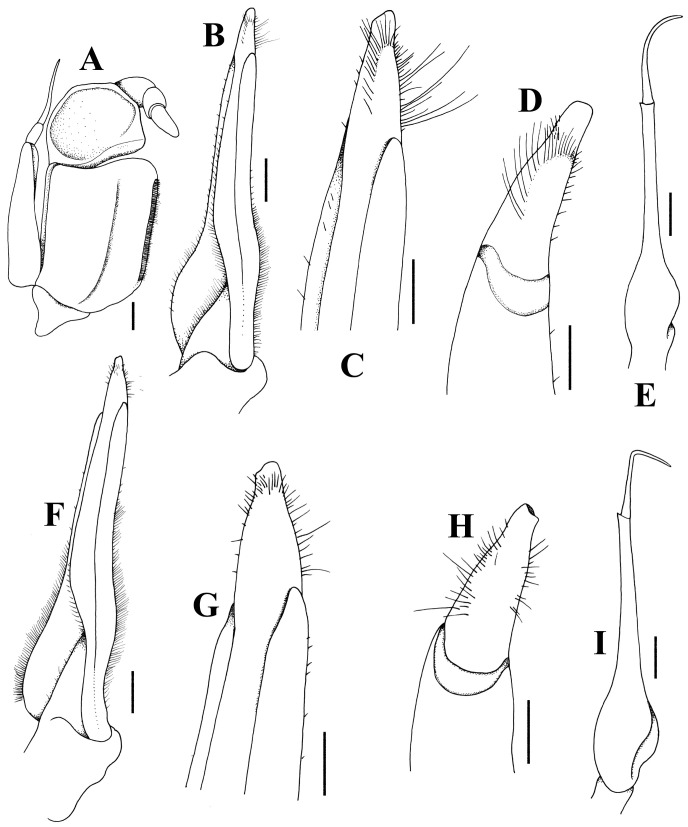 Fig. 9.