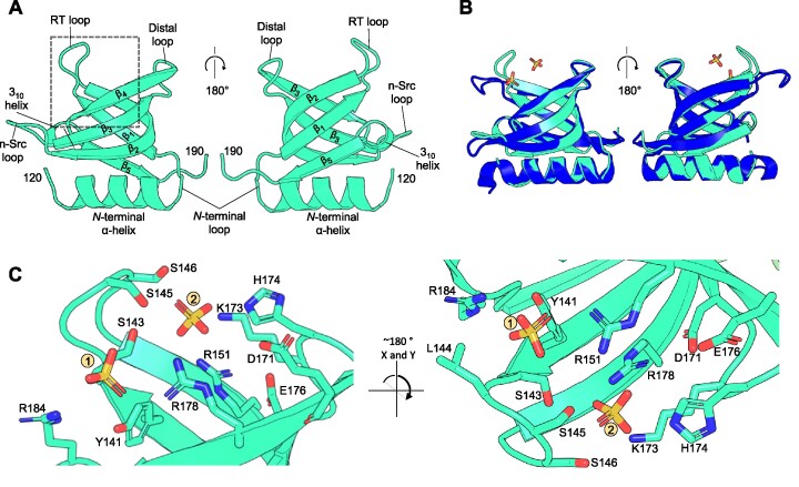 Figure 6.