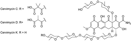 graphic file with name antibiotics-13-00135-i003.jpg