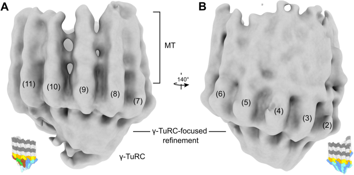 Figure EV4