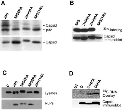 FIG. 6.