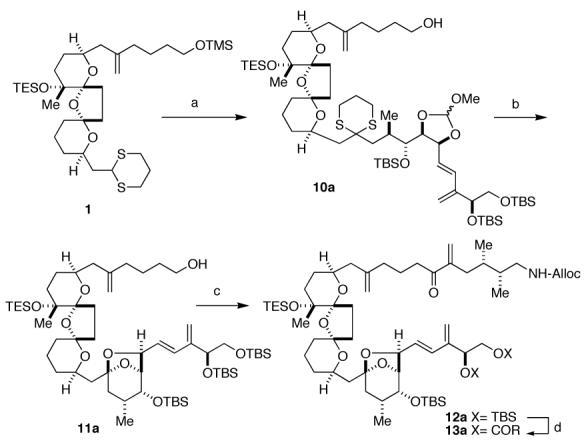 Scheme 3