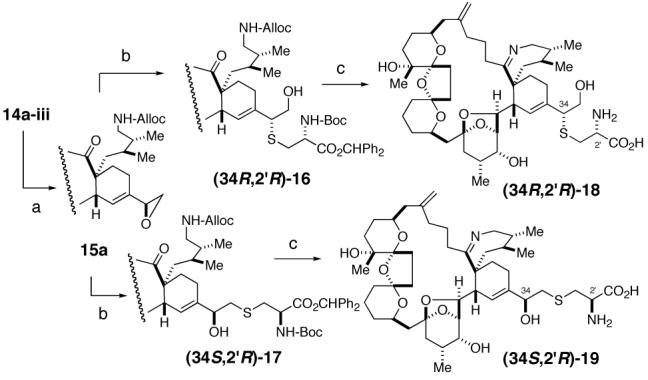 Scheme 4