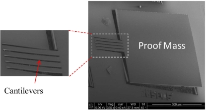 Figure 10.