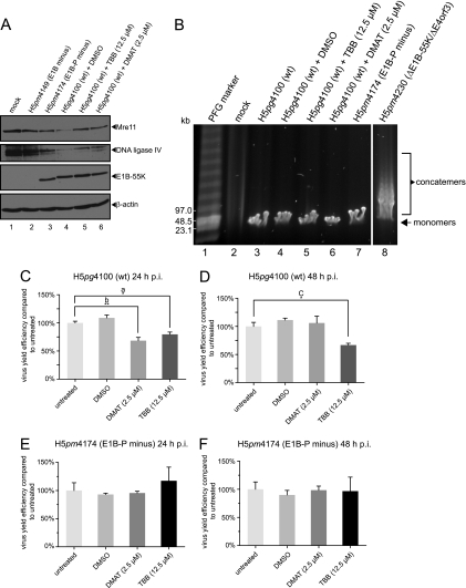 Fig 6