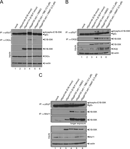 Fig 5