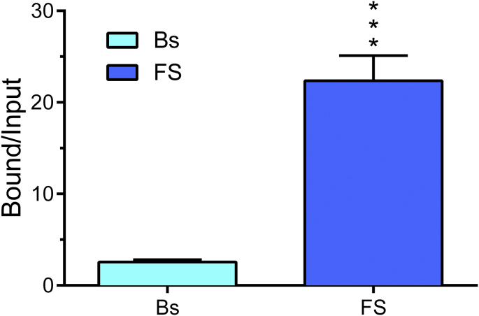 Fig. 1