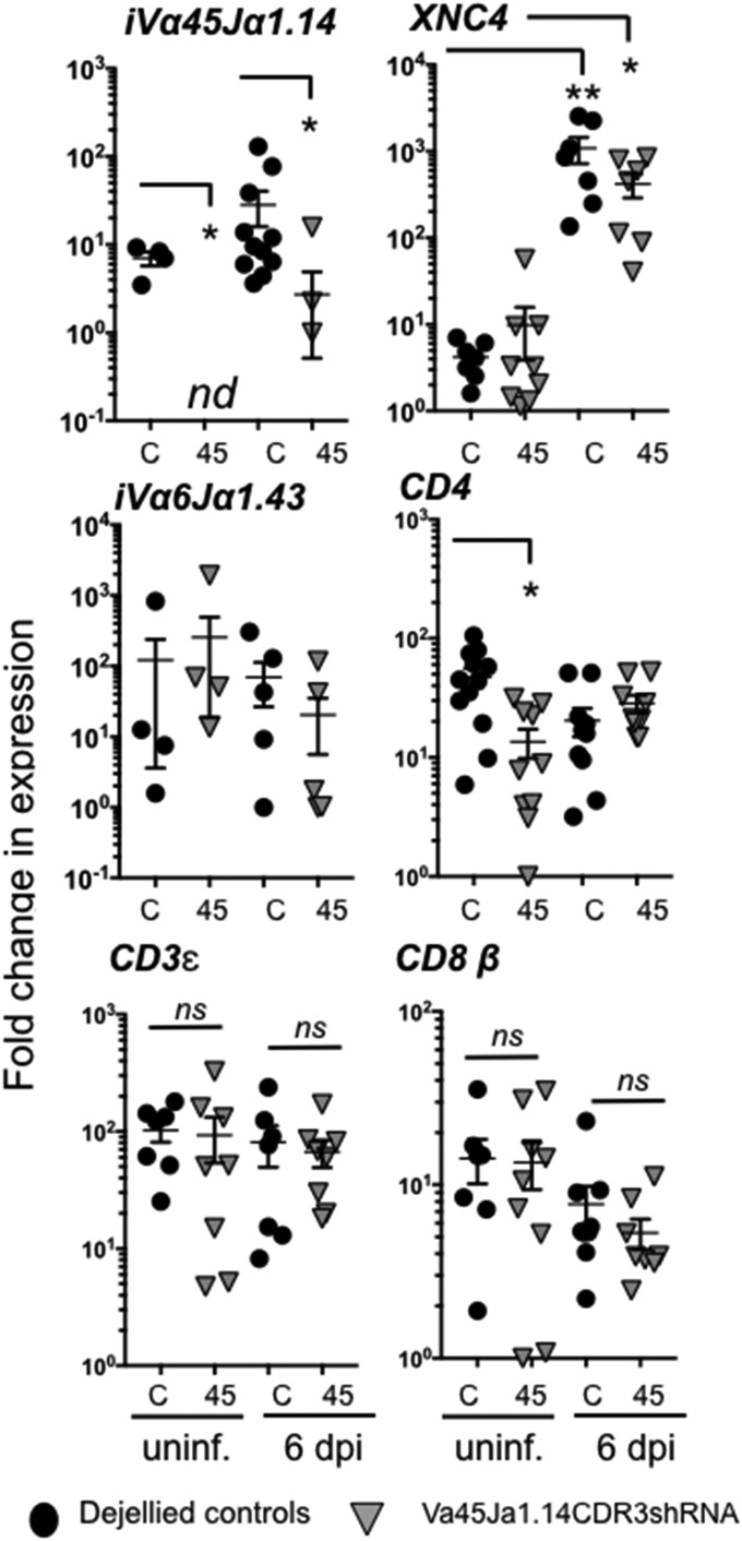 Fig. 4.