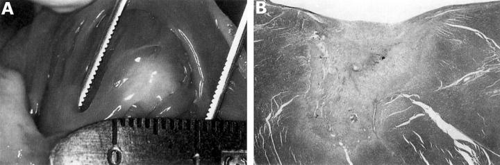 Figure 1:  