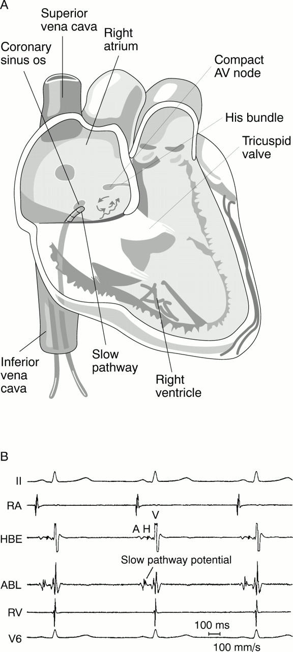 Figure 4:  