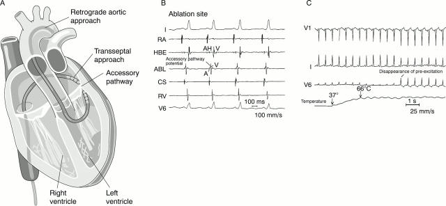 Figure 2:  