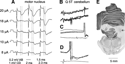 Fig. 3.